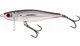 Silver Flashy Fish