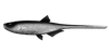 Przynęta Libra Lures Bleak Slug Tail 8.2" | 20.8 cm | 0002 - Ghost
