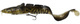 Gold Burbot UV
