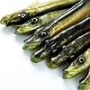 Guma Angry Lures Pike 19cm | NTA