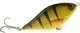Yellow Perch