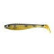 Perch Shiner