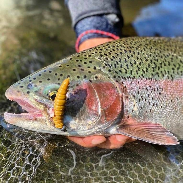 Przynęta Libra Lures Larva 4.5cm, 036 - coffee milk- 8szt (zapach krylowy)