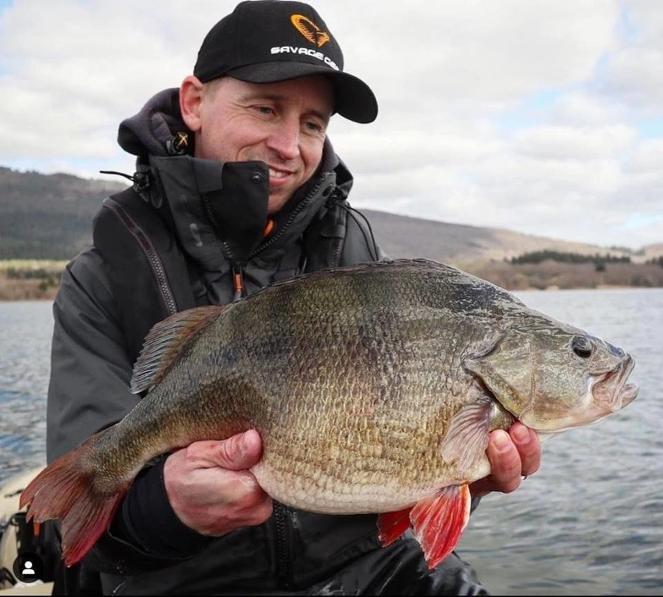 Guma SAVAGE GEAR Cannibal 10cm 9g White Flash