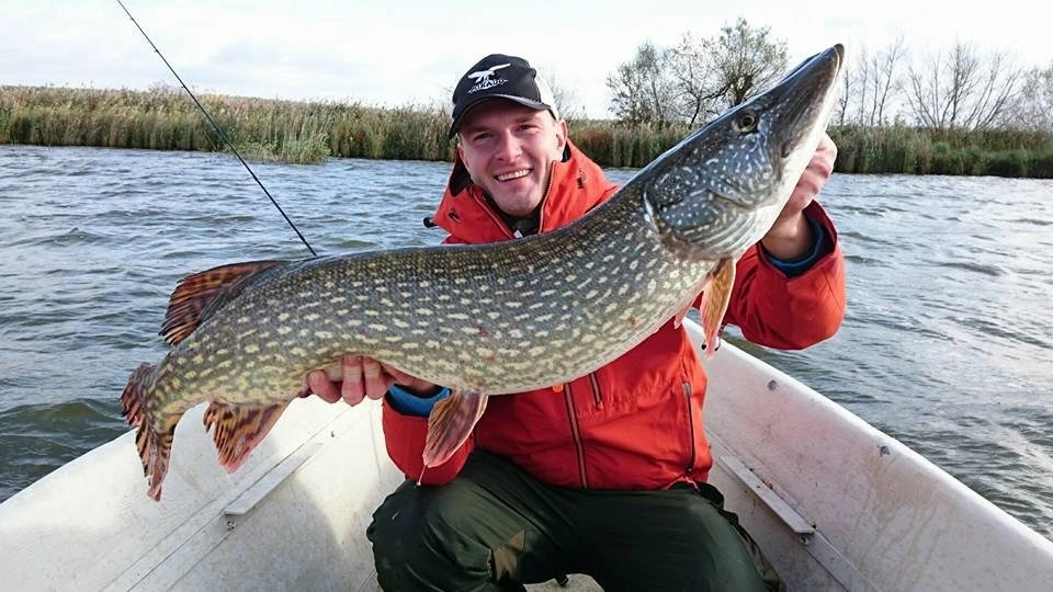 Fox Rage Pro Grub Pike 12cm