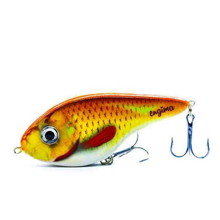 Wobler Engima Baits Jerk 11cm | Płoć Fluo