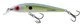 Sexy Shad