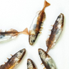 Guma Angry Lures Stickleback F-Tail 6cm | DB