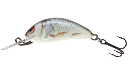Wobler Salmo Hornet 3,5cm | Real Dace | tonący