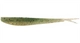Emerald Shiner