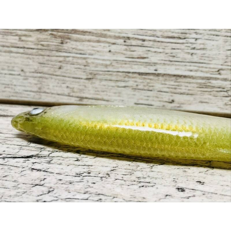 Guma SEWRO CUSTOM BAIT Ukleja 16cm- Oliwka Naturalny Ogon