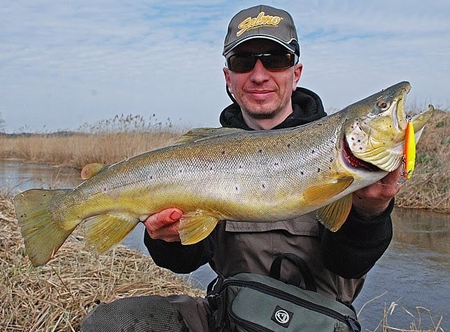 Wobler Salmo Minnow 5cm | Spirlin | pływający