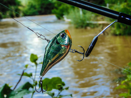 Cykada Rapala Rippin Rap 5cm | CHB
