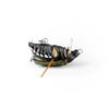 Wobler Imago Lures Maybug 2,5cm Surface Exclusive - pływający - BK