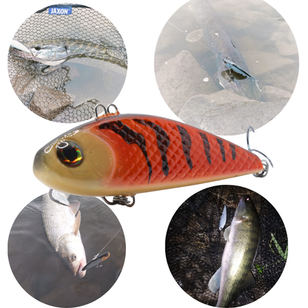 Wobler Engima Baits Cykada 9cm | Orange Tiger | tonący