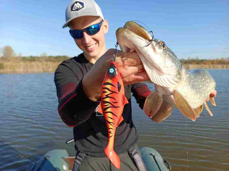 Guma Mikado MFT Roach 18cm Carissio