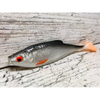 Guma SEWRO CUSTOM BAIT Płoć 10cm