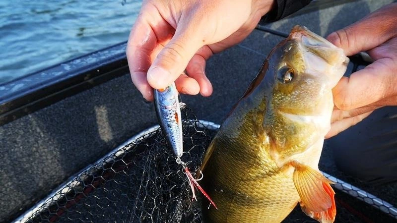 .Popper Salmo Rattlin Pop 7cm | Clear Holo Smelt | pływający