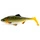 Pike \ 8