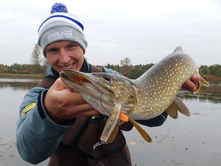 .Przynęta MIKADO FISHUNTER 8cm, kolor 02RH op 5szt