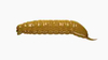 Przynęta Libra Lures Goliath 4.5cm | 036 - Coffee Milk | brak zapachu | 10 szt.