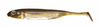 Fish Arrow Flash-J Shad 2" - Green Pumpkin/Silver #01 - 1 szt.