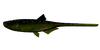 Przynęta Libra Lures Bleak Slug Tail 8.2" | 20.8 cm | 132 - Motor Oil Green