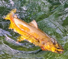 Przynęta Libra Lures Flex Worm 9cm | 001 - White | brak zapachu | 10 szt.