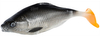 Guma SEWRO CUSTOM BAIT Karaś 10cm Srebrny