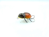 Wobler Gloog Magni 3cm | 2,5g | pływający | CHB