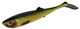 Tench