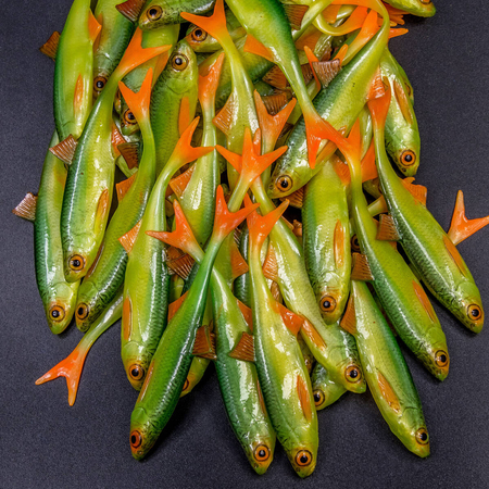 Guma Angry Lures Bleak F-Tail 10cm | GYO