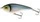 Blueback Herring \ Neutralny \ 12