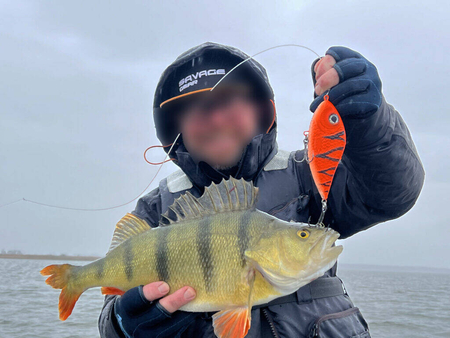 Jerk Kaszub Baits Danire 10cm | tonący | 40g | OT UV