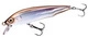 007 POND SMELT