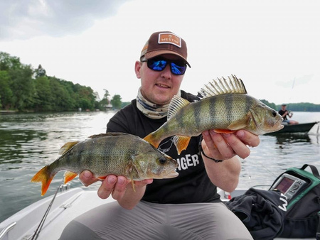 Guma Westin MegaTeez 5cm | UV Slime