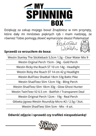 My Spinning Box | Radosław Witólski