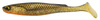 Guma FishUp RAM Shad 20,0cm | 8" | #358 Golden Shiner