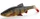 Perch \ 22