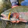 Przynęta Libra Lures Larva 3.5cm | 017 - Bubble Gum | ser | 12 szt.