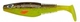Bream