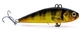 Okoń Fluo
