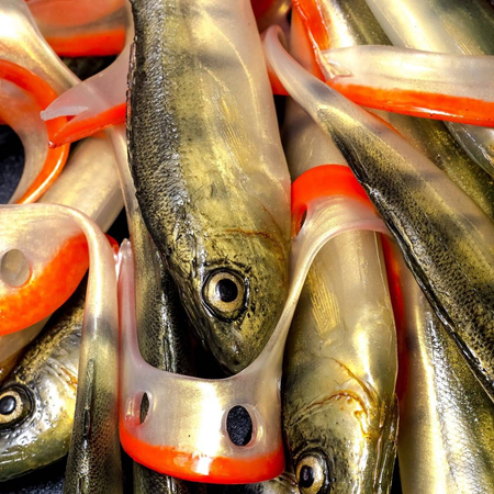 Guma Angry Lures Perch G-Tail 15cm | N