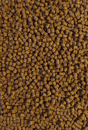 Pellet Feeder Bait 4mm | Orzech Tygrysi