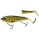 Tench
