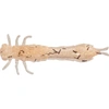 Guma Westin Odonata Ned Creaturebait 6,5cm | UV Shrimp | 4 szt.
