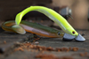 Guma Savage Gear Slender Scoop Shad 9cm | Smelt