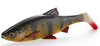 Guma Savage Gear 4D LB River Roach 18cm | Perch