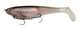 Rainbow Trout