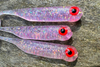 Guma Great Fish GF1 4,9cm | Glitter Pink | rybny | 10 szt.